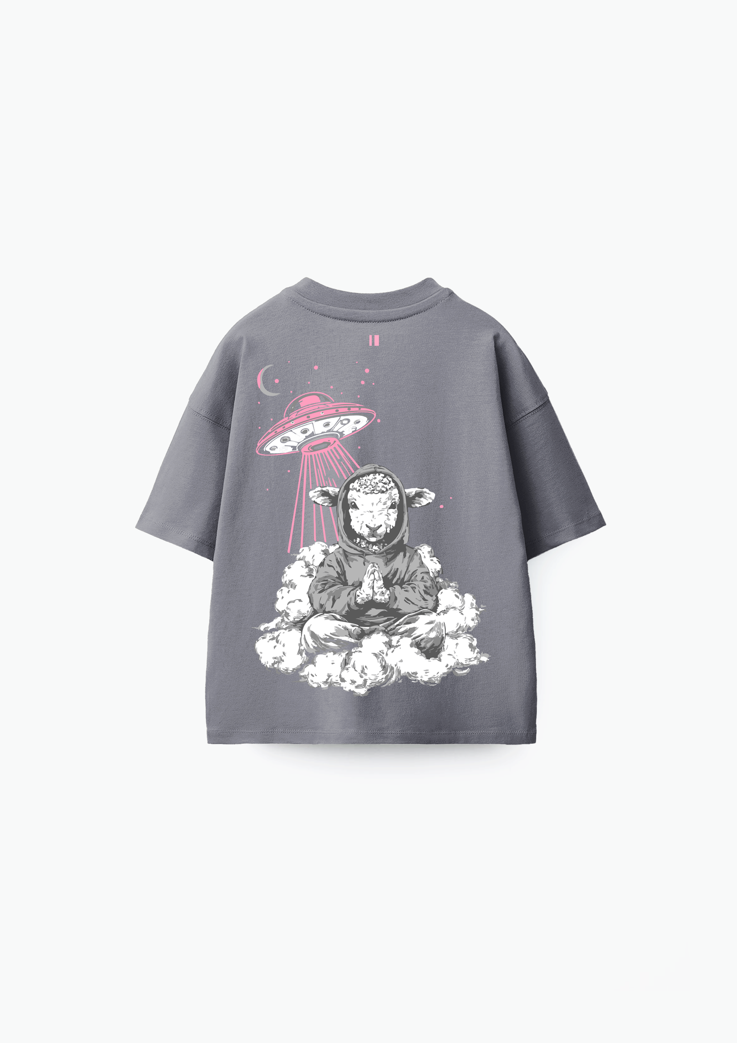 Grey Indifferent T-Shirt Jr