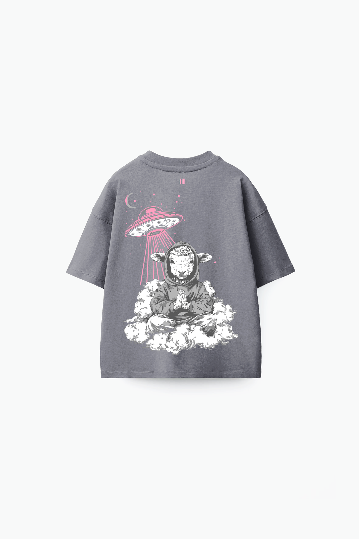 Grey Indifferent Tee (back)