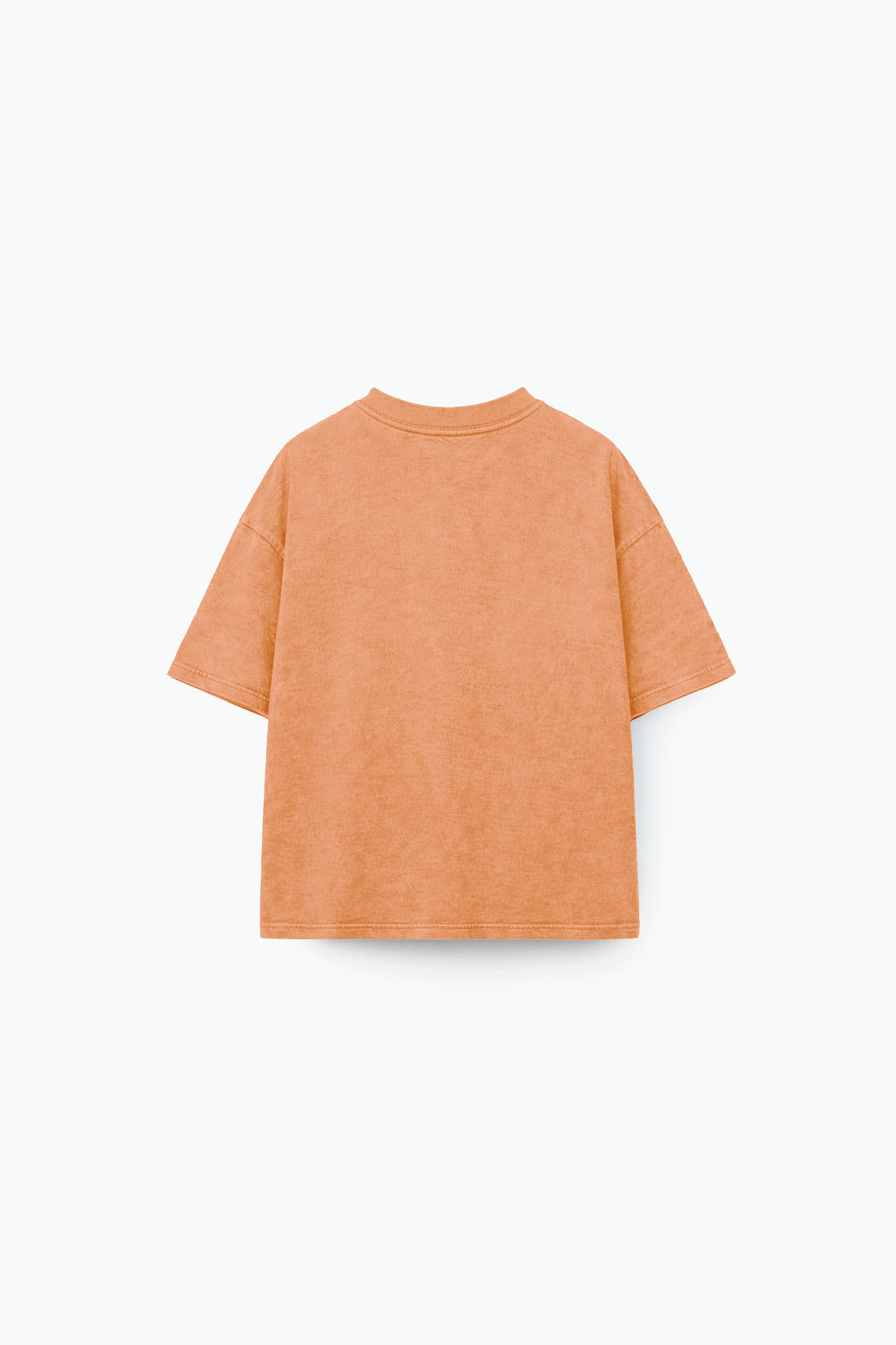 Rust Washed T-Shirt Jr
